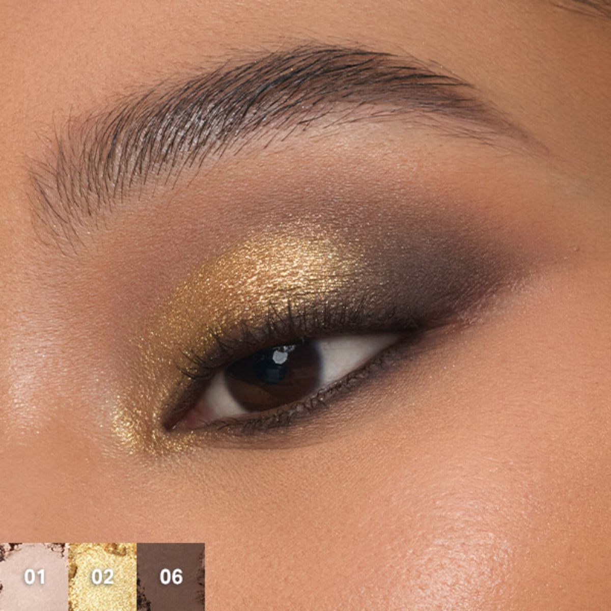 MORPHE Chromaplus 6-Pan Eyeshadow Palette - Python Code | Grocsy