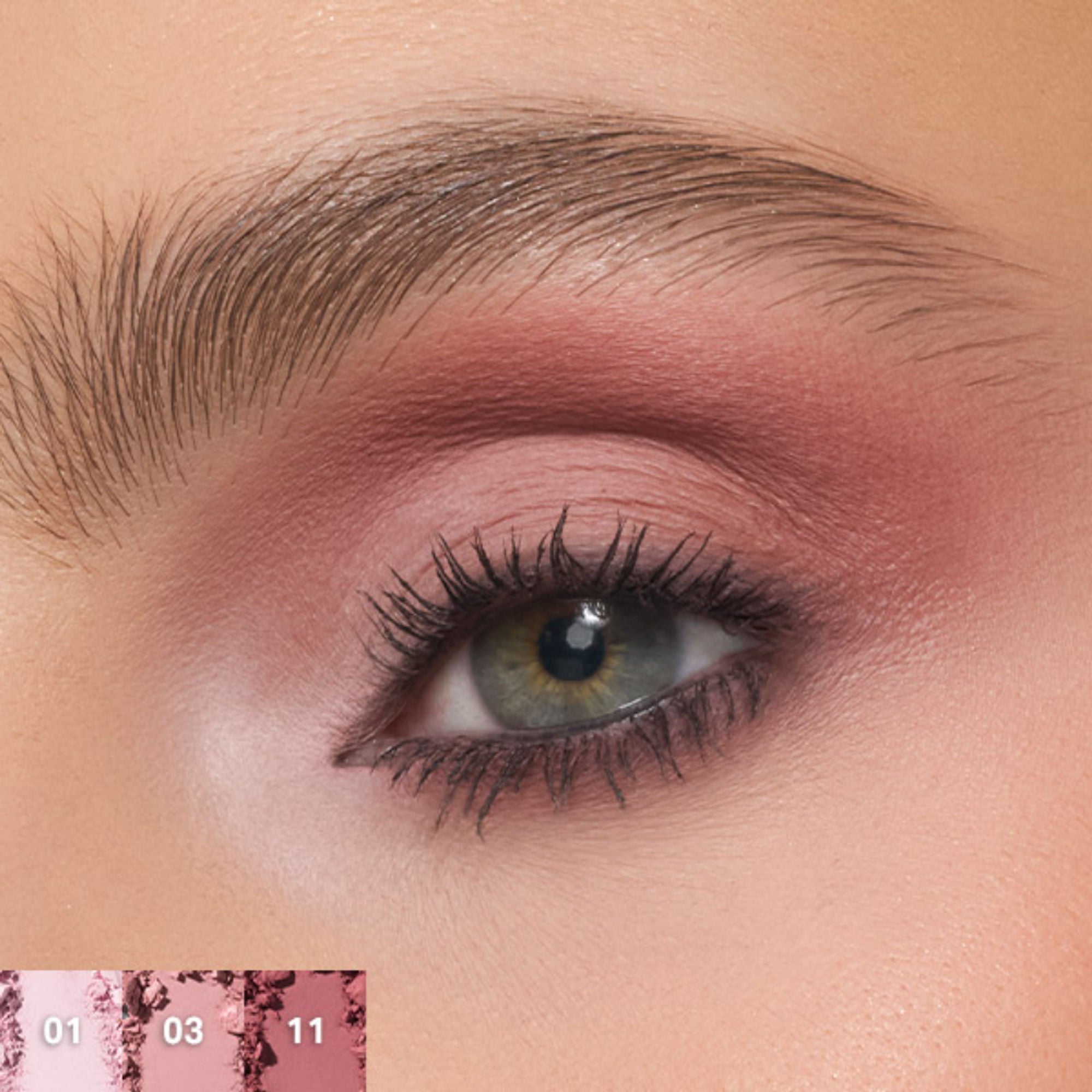 MORPHE Chromaplus 12-Pan Eyeshadow Palette - Rose Frequency | Grocsy