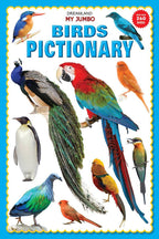 Dreamland My Jumbo Birds Pictionary | Grocsy