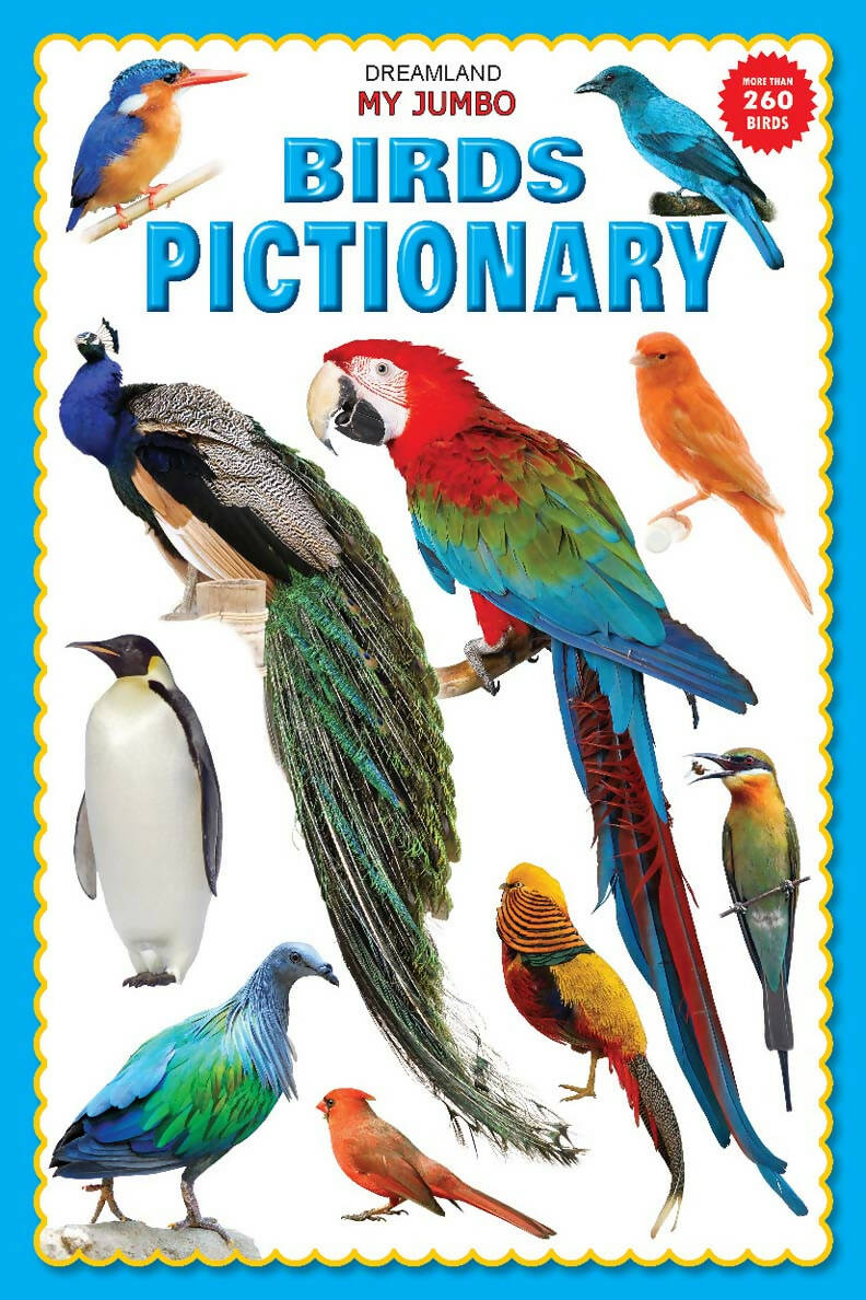 Dreamland My Jumbo Birds Pictionary | Grocsy