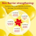 Eqqualberry Vitamin C Face Serum – Niacinamide & Ceramides, Brightening & Hydrating | Grocsy