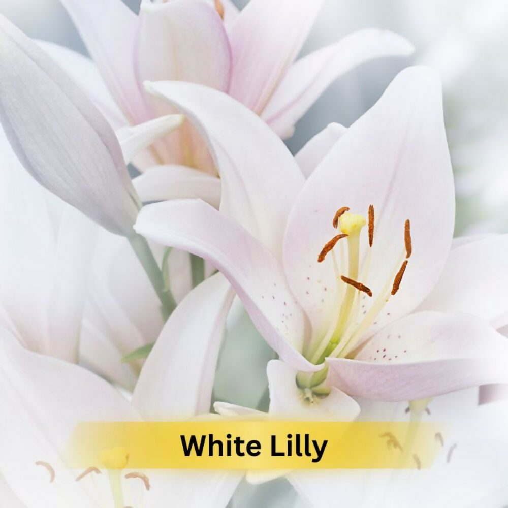 Prakriti Herbal Soap White Lily | Grocsy