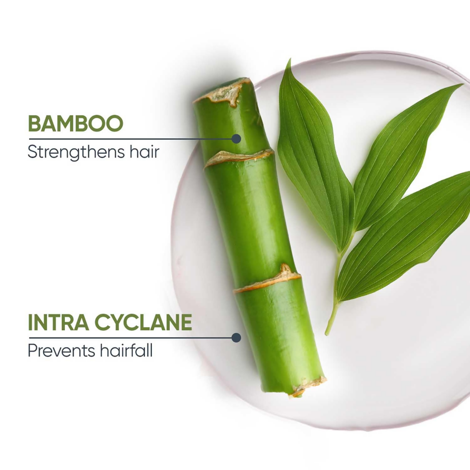 Matrix Biolage Advanced Fiberstrong Conditioner For Hair Strength & Elasticity | Grocsy