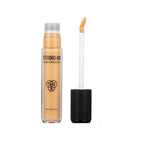 PAC Studio HD Liquid Concealer - HD DEEP 300 | Grocsy