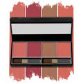 Miss Claire Mineral Blusher Kit - 3716-4-6 | Grocsy