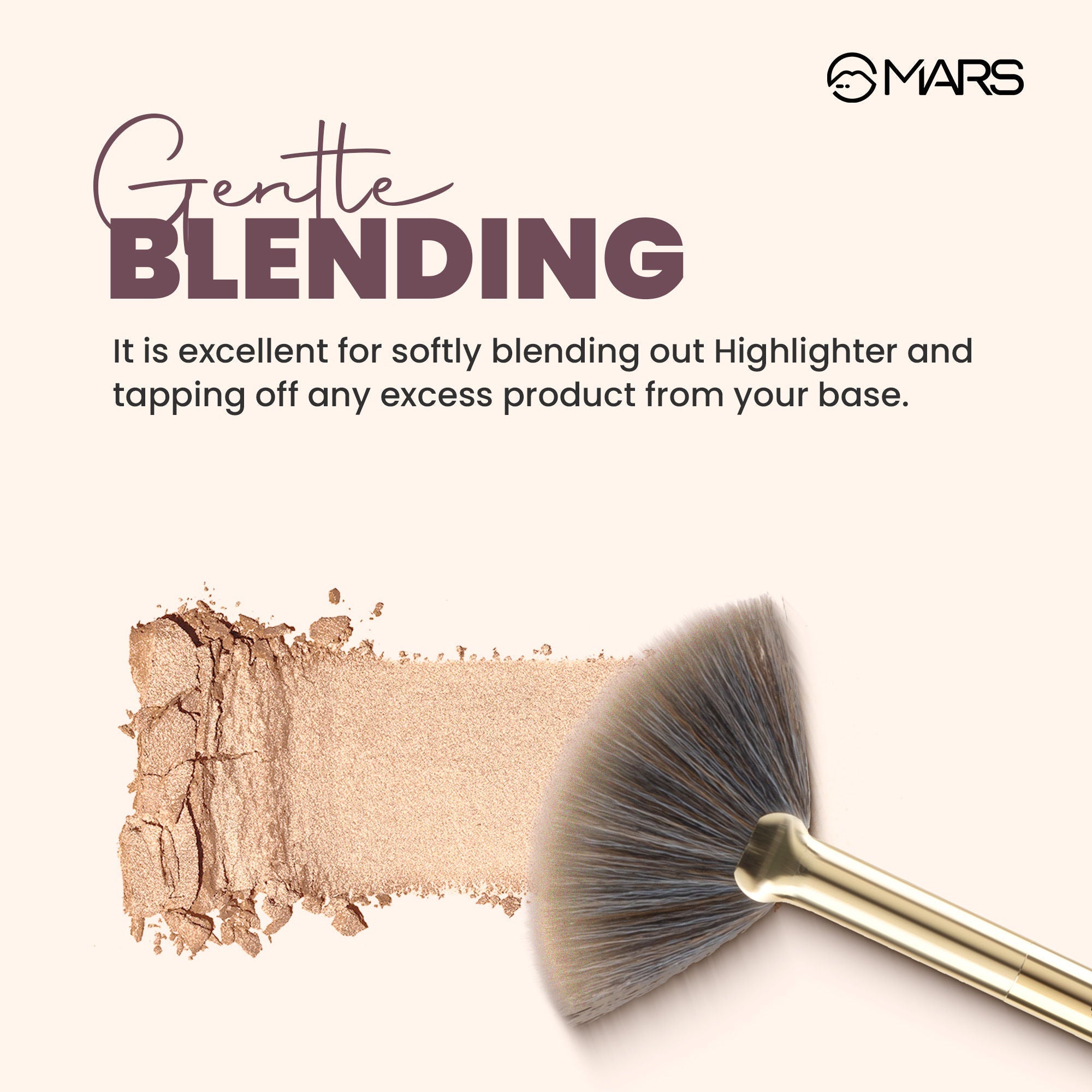 MARS Cosmetics Professional Fan Highlighting Brush | Grocsy
