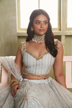 Eilara Light Gray Sequins Net Function Wear Lehenga Choli Set | Grocsy