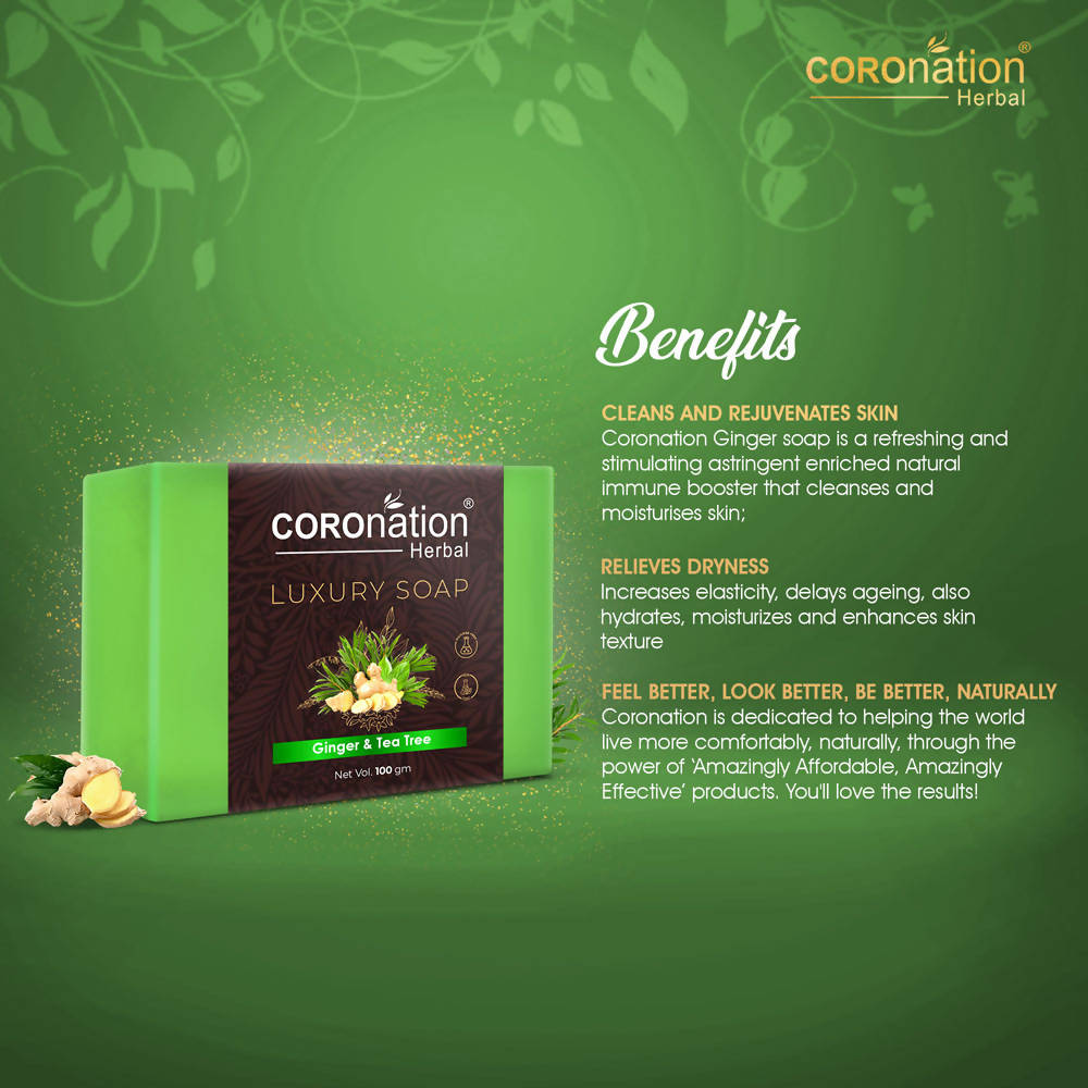 Coronation Herbal Ginger & Tea Tree Luxury Soap | Grocsy