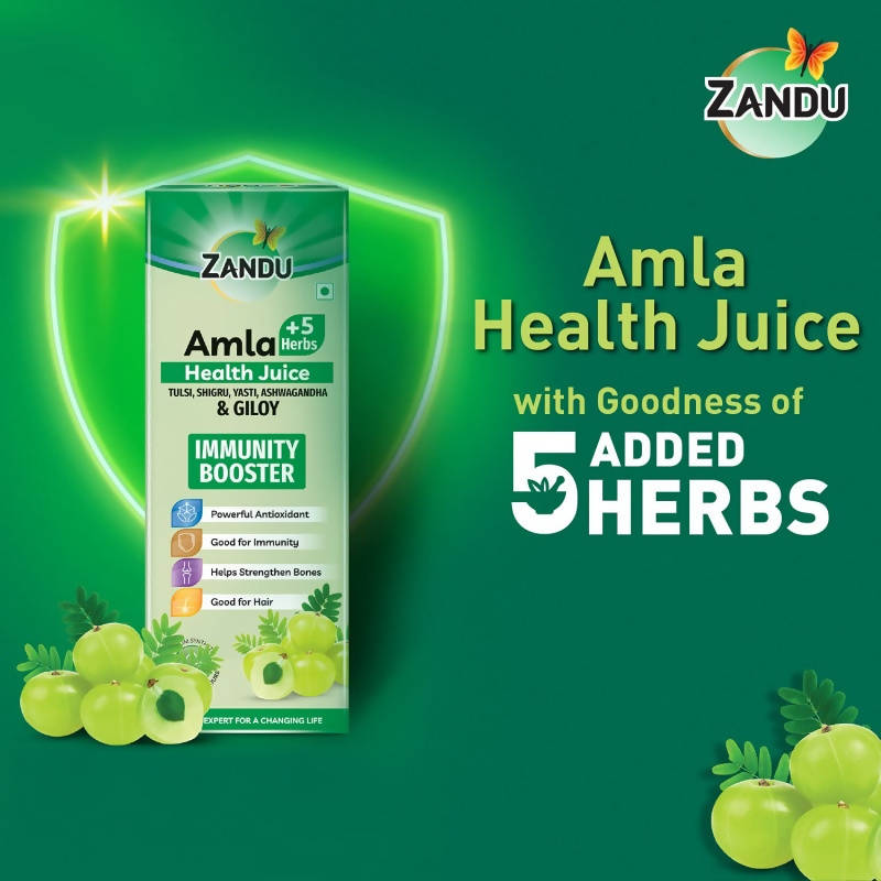 Zandu Amla + 5 Herbs Health Juice | Grocsy