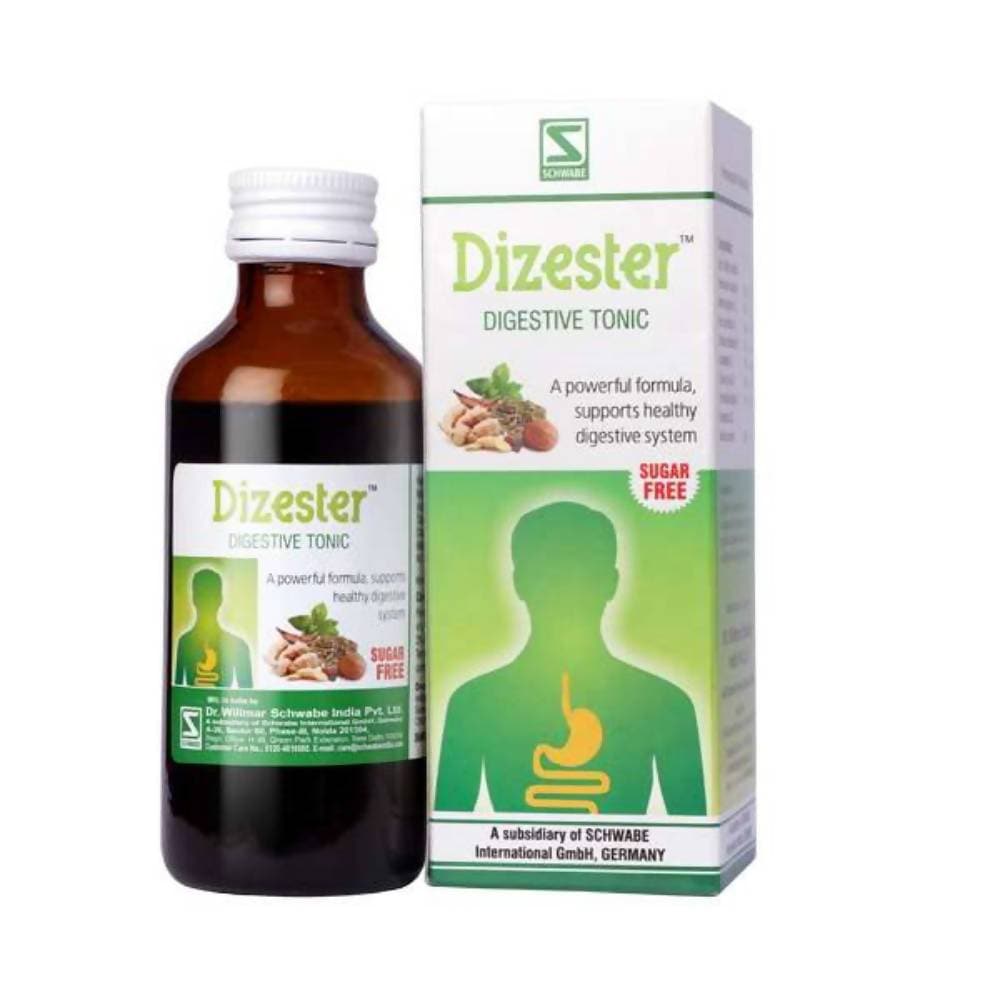 Dr. Willmar Schwabe India Dizester Digestive Tonic | Grocsy