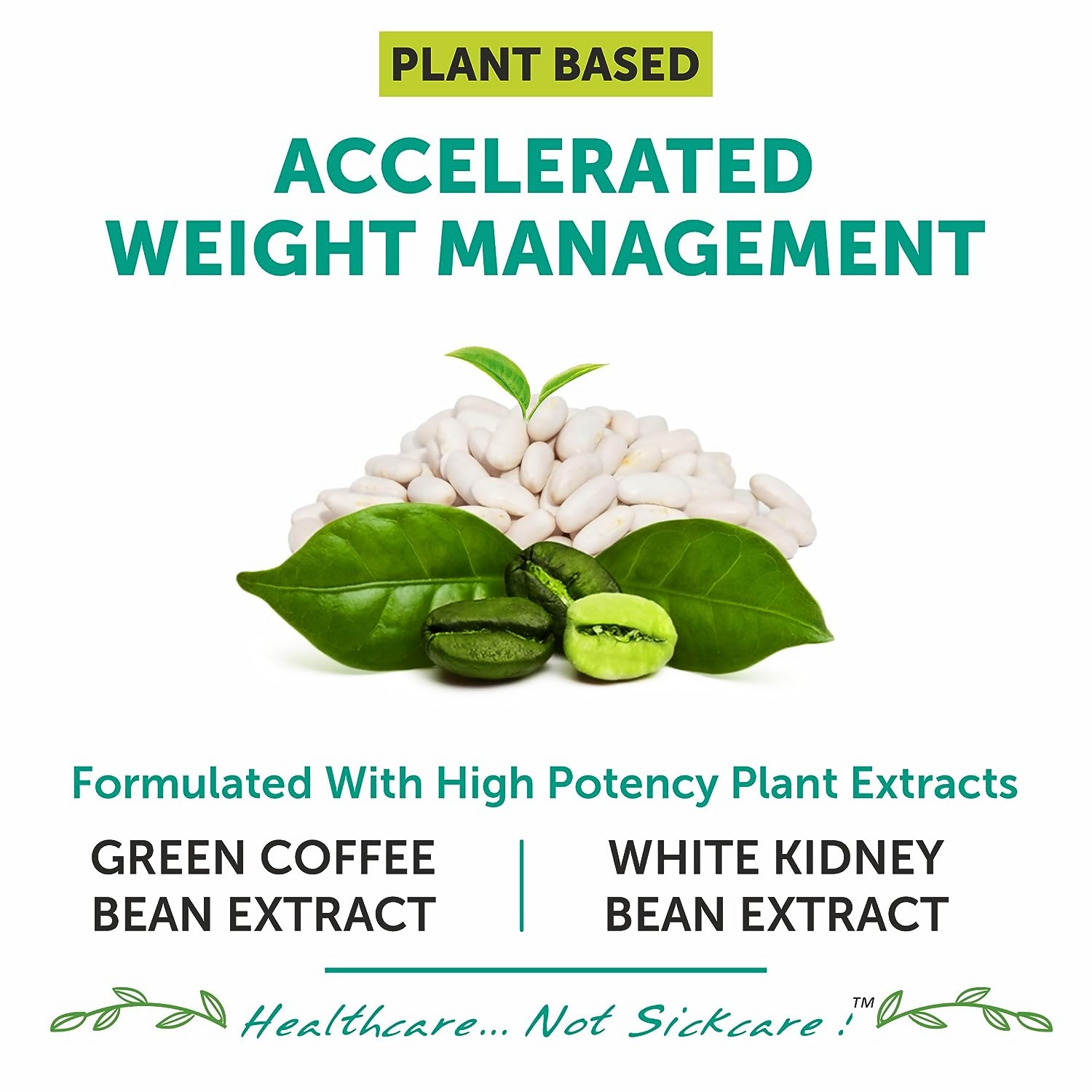 Bliss Welness Green Coffee Bean Extract White Kidney Bean Extract Capsules | Grocsy