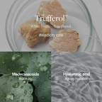 d'Alba Piedmont Italian White Truffle Waterfull Mild Sunscreen Vegan Skincare Mineral Sunscreen With Spf 50+ Pa++++ | Grocsy