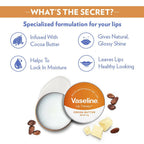 Vaseline Tin Cocoa Butter Lip Therapy | Grocsy