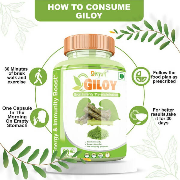 Divya Shree Giloy Capsules | Grocsy