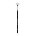 Proarte Precision Fan Brush PF-56 | Grocsy