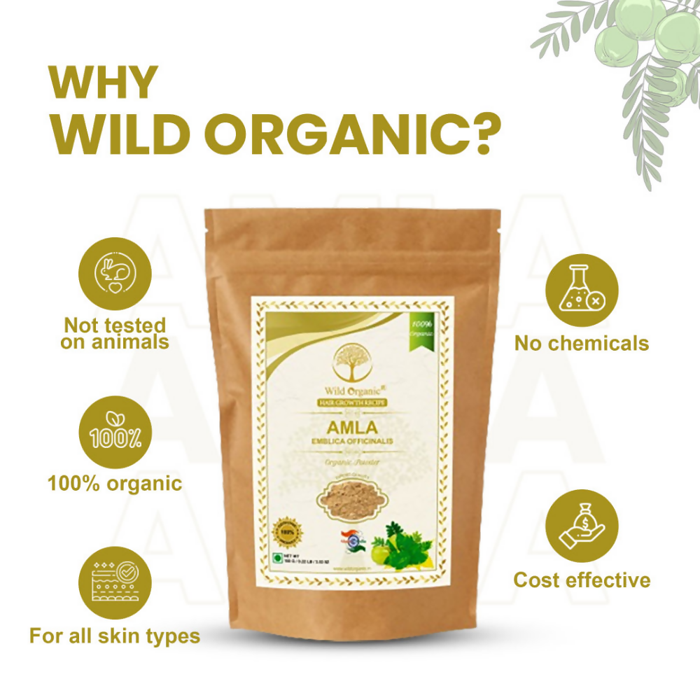 Wild Organic Amla Powder Natural Hair Growth | Grocsy