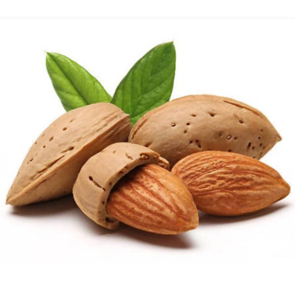 Freshon Almond / Badam Premium (with Rich oil) | Grocsy