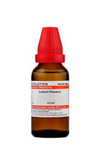 Dr. Willmar Schwabe India Ledum Palustre Dilution | Grocsy