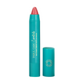 Parul Garg Beauty Day & Night Creamy Matte Lip Crayon - Queen 79 | Grocsy