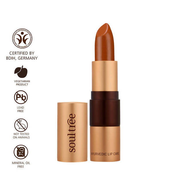 Soultree Ayurvedic Lipstick Rusty Cinnamon 840 | Grocsy