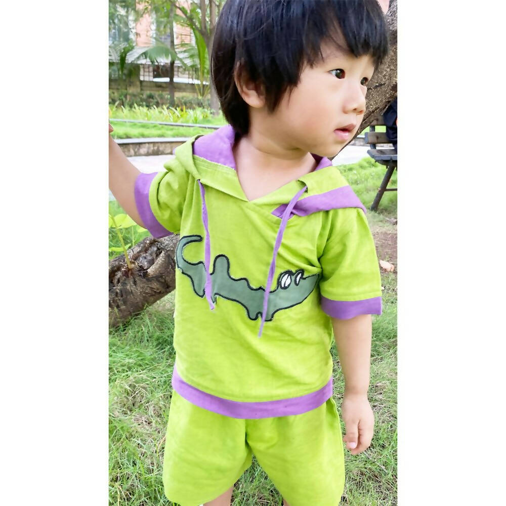 Mhyssa Croco Half sleeves Green and Purple Hoodie with Shorts Set For Kids | Grocsy