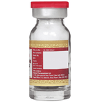 Multani Mahalaxmi Vilas Ras With Gold | Grocsy