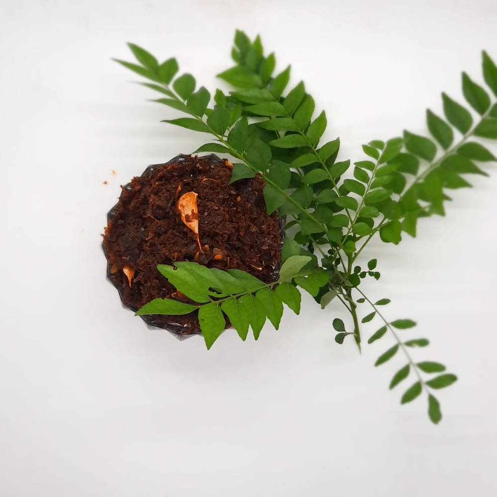 Koripalli Pickles Curry Leaves Pickle | Grocsy