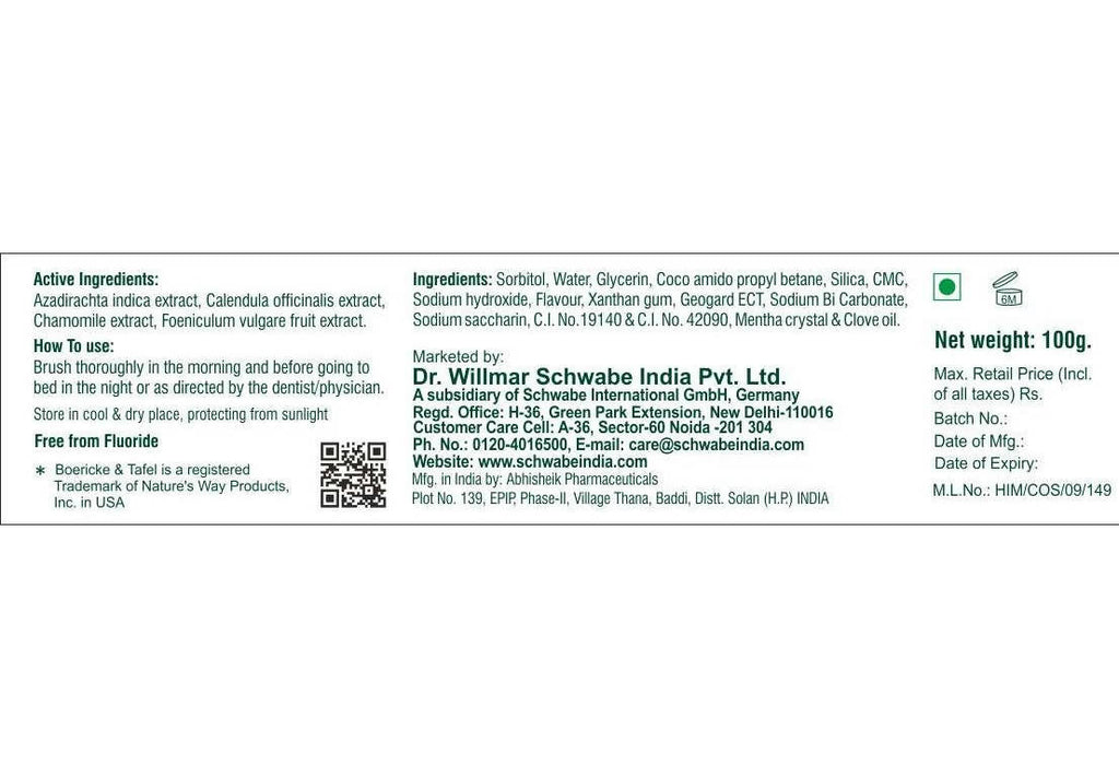 Boericke & Tafel Dental Care Gel | Grocsy