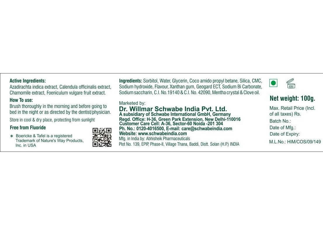 Boericke & Tafel Dental Care Gel | Grocsy