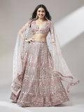 House of Panchhi Rose Gold Net Mirror & Sequinse embroidery Lehenga choli & Dupatta | Grocsy