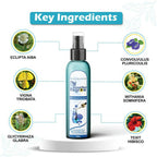 Divya Shree Enroot Hair Regrow Oil | Grocsy