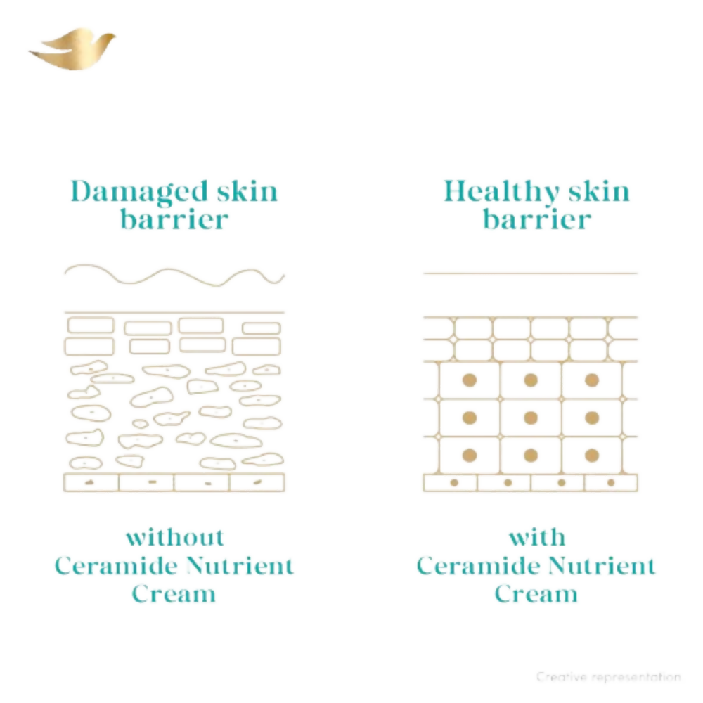 Dove Advanced Sensitive Care Body Wash With Ceramide & Nutrient Cream | Grocsy