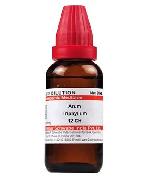 Dr. Willmar Schwabe India Arum Triphyllum Dilution | Grocsy
