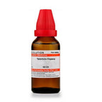 Dr. Willmar Schwabe India Tarentula Hispana Dilution | Grocsy
