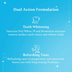 Perfora Whitening Toothpaste - Fresh Mint | Grocsy