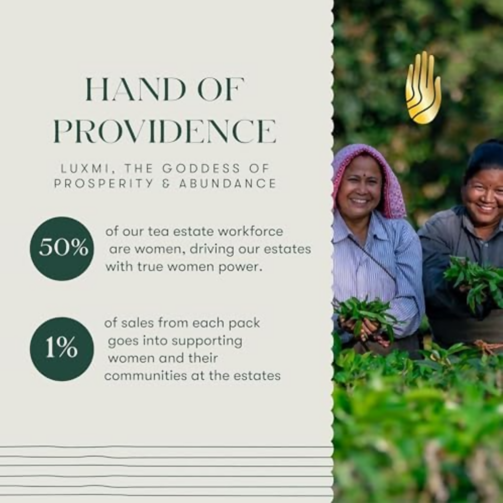 Luxmi Estates Indian Passion Mango Passion Fruit Green Tea | Grocsy