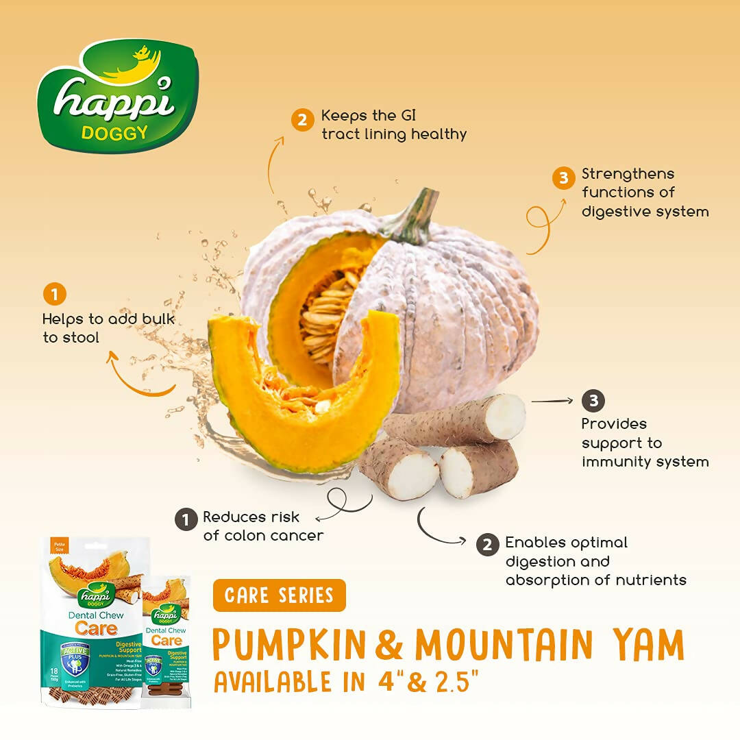 Happi Doggy Dental Chew Care Digestive Support Pumpkin & Mountain Yam | Grocsy