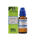 SBL Homeopathy Atista Radix Dilution | Grocsy