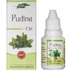Fame Drugs Pudina Oil | Grocsy