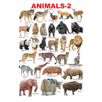 Dreamland Publications Educational Chart for Kids - Animals-2 | Grocsy