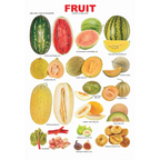 Dreamland Publications Educational Chart for Kids - Fruit Chart - 4 | Grocsy