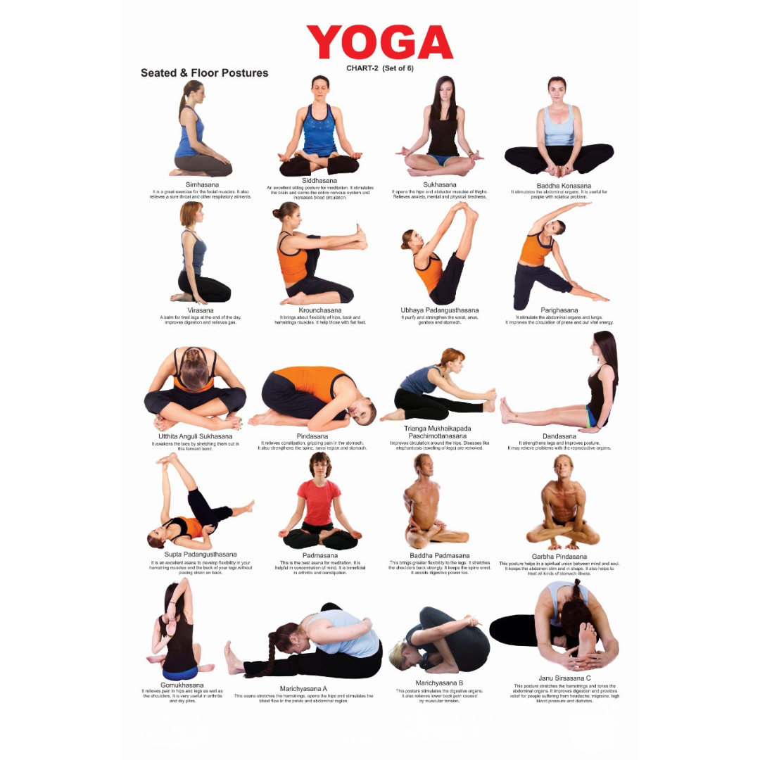 Dreamland Publications Yoga Chart - 2 : Children Reference Educational Laminated Chart | Grocsy