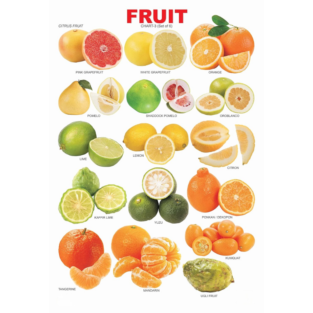 Dreamland Publications Educational Chart for Kids - Fruit Chart - 3 | Grocsy