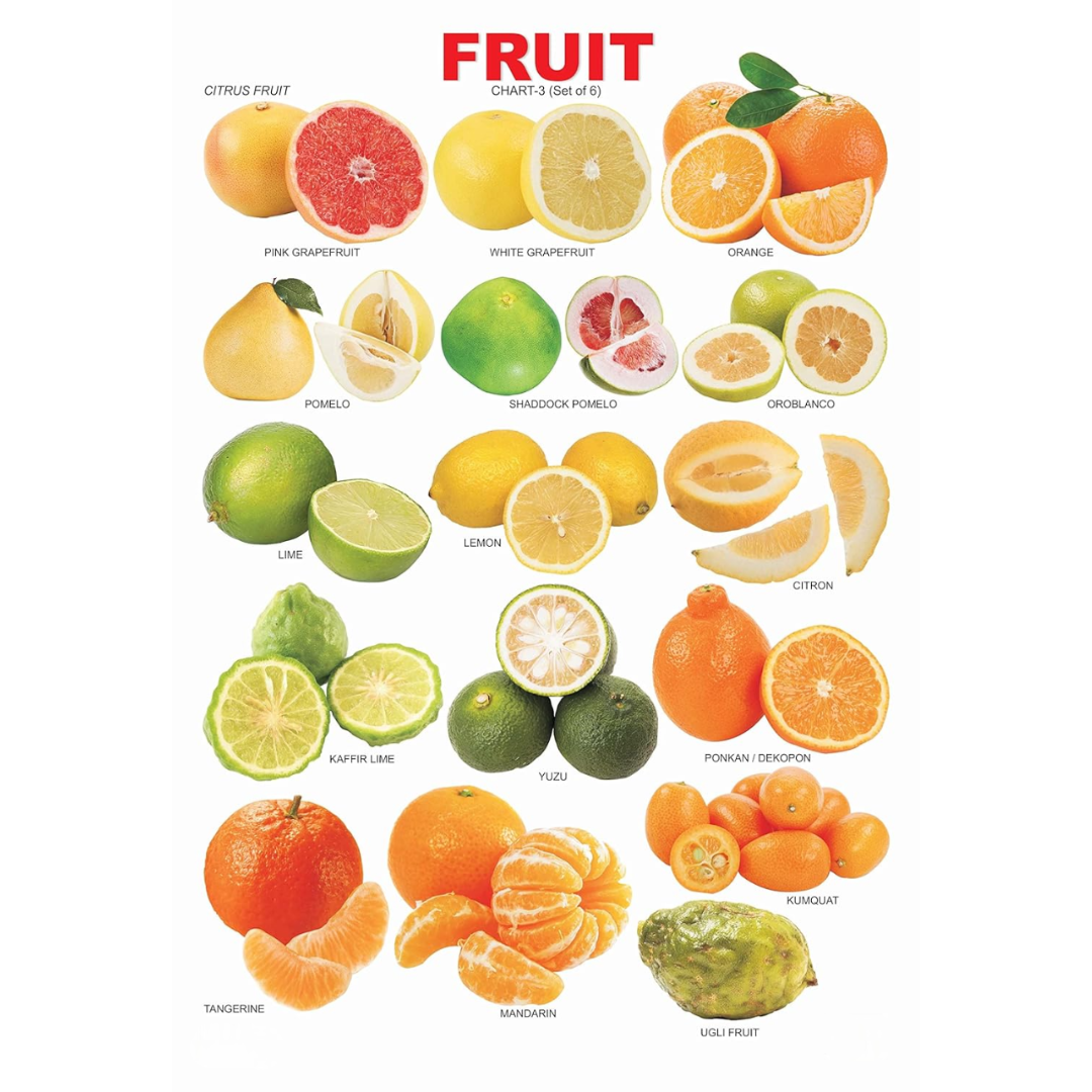 Dreamland Publications Educational Chart for Kids - Fruit Chart - 3 | Grocsy