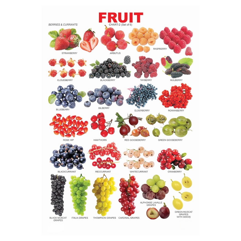 Dreamland Publications Educational Chart for Kids - Fruit Chart - 2 | Grocsy