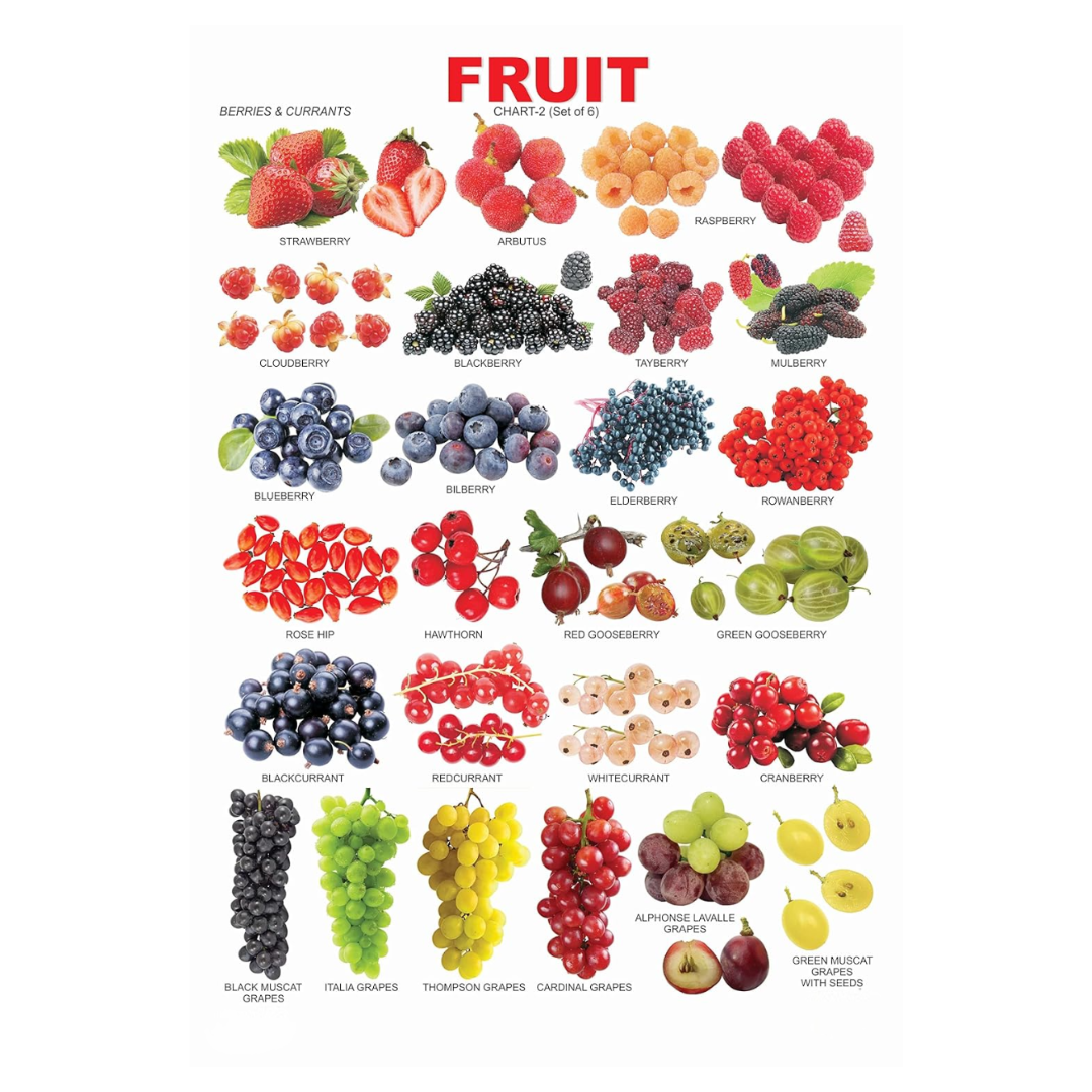 Dreamland Publications Educational Chart for Kids - Fruit Chart - 2 | Grocsy