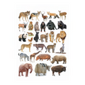 Dreamland Publications Educational Chart for Kids - Animals-2 | Grocsy
