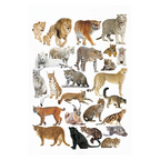 Dreamland Publications Educational Chart for Kids - Cat Family Chart | Grocsy