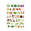 Dreamland Publications Educational Chart for Kids - Vegetables | Grocsy