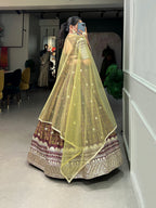 Lorenvalley Brown Chinon Digital Print with Embroidery Sequins Work Lehenga Choli with Dupatta | Grocsy